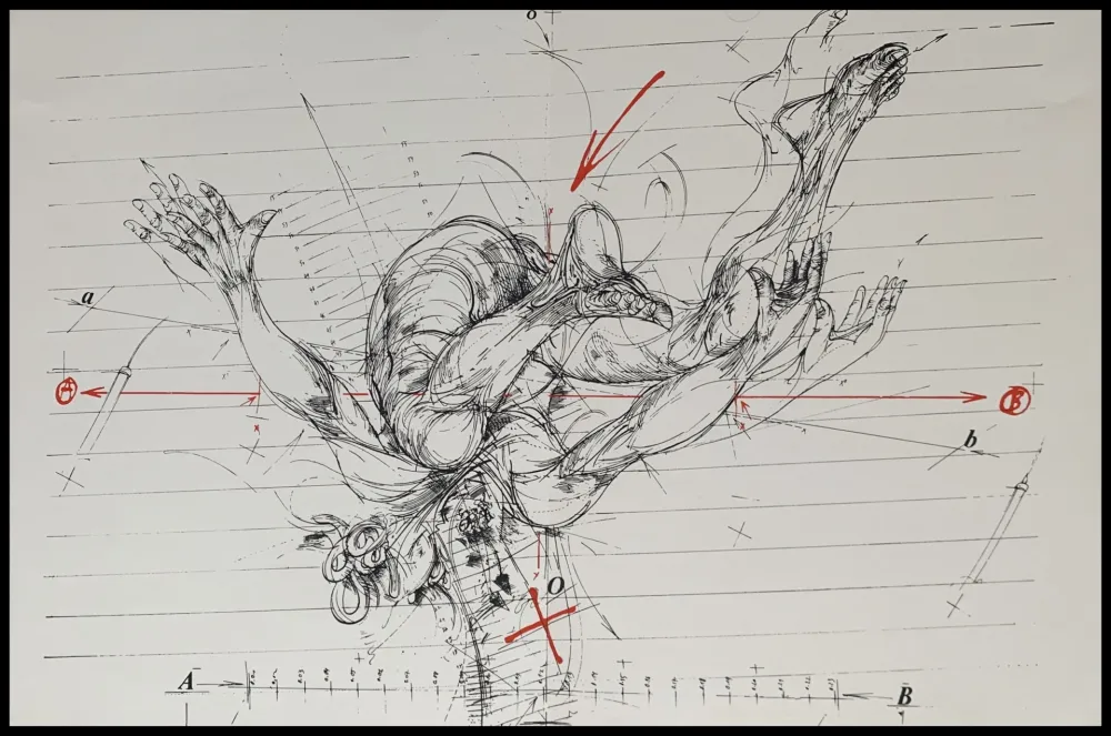 シルクスクリーン Velickovic - La chute