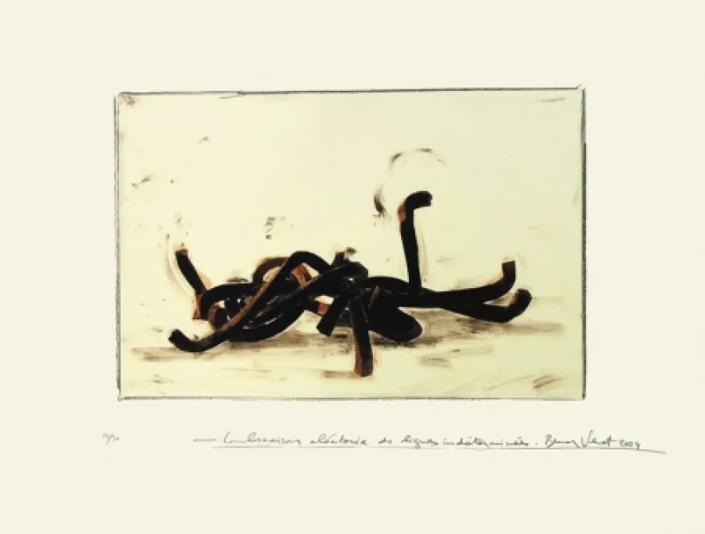 リトグラフ Venet - Combinaison aléatoire de lignes indéterminées 3C