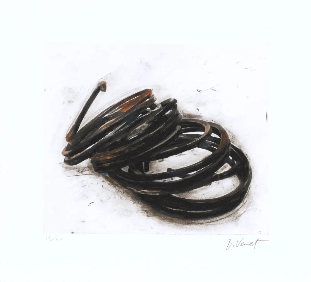 エッチング Venet - Effondrement - Indeterminate Lines 05