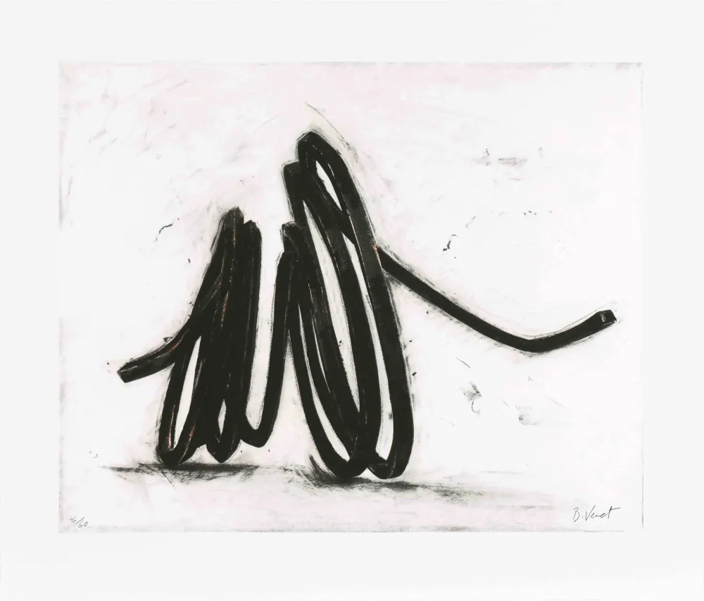 エッチング Venet - Indeterminate line I