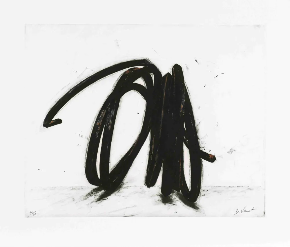 エッチング Venet - Indeterminate Line II