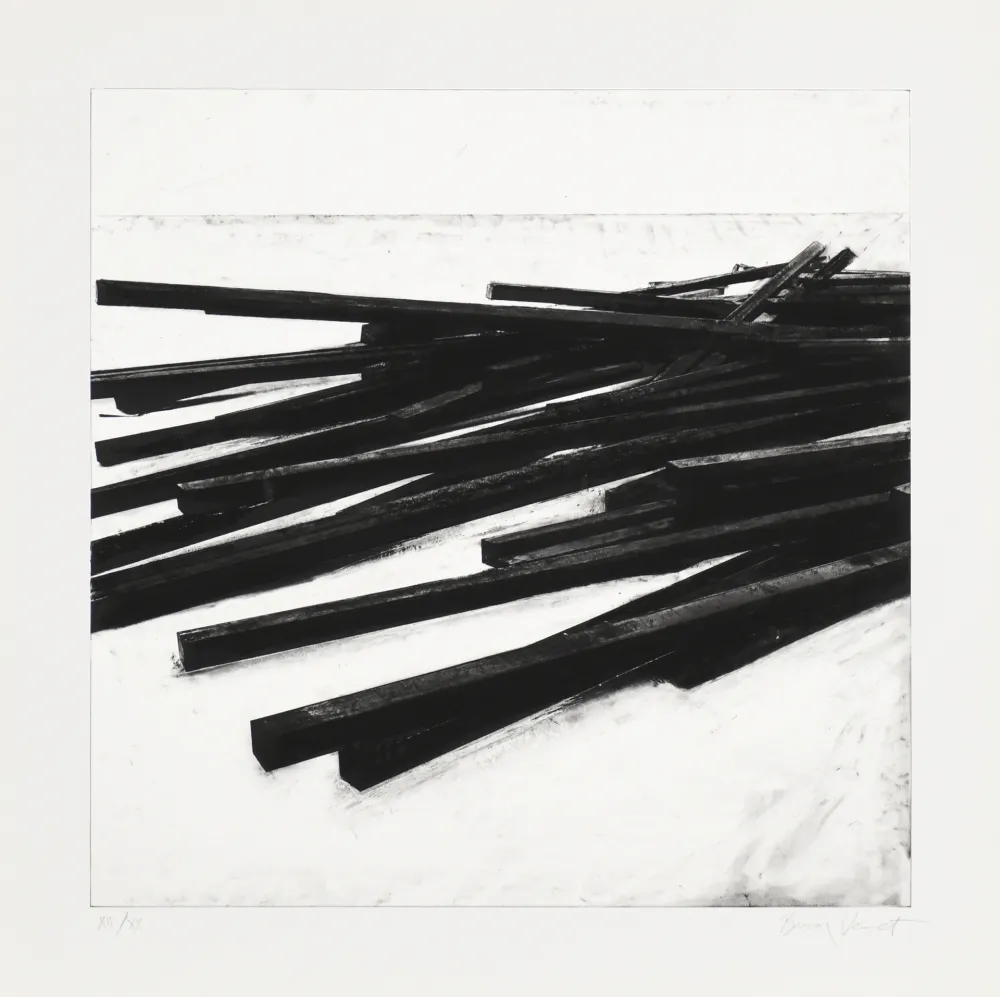 シルクスクリーン Venet - Lignes droites / désordre 03