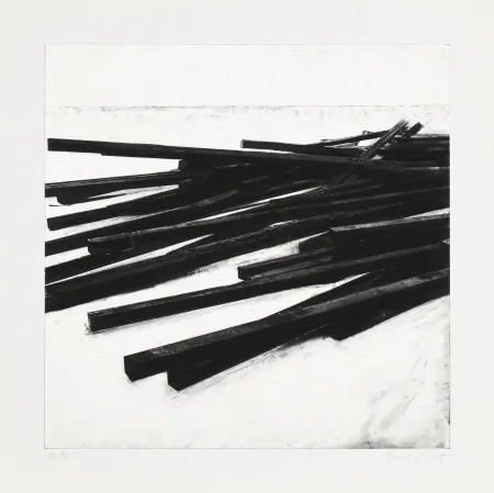 シルクスクリーン Venet - Lignes droites / désordre 03