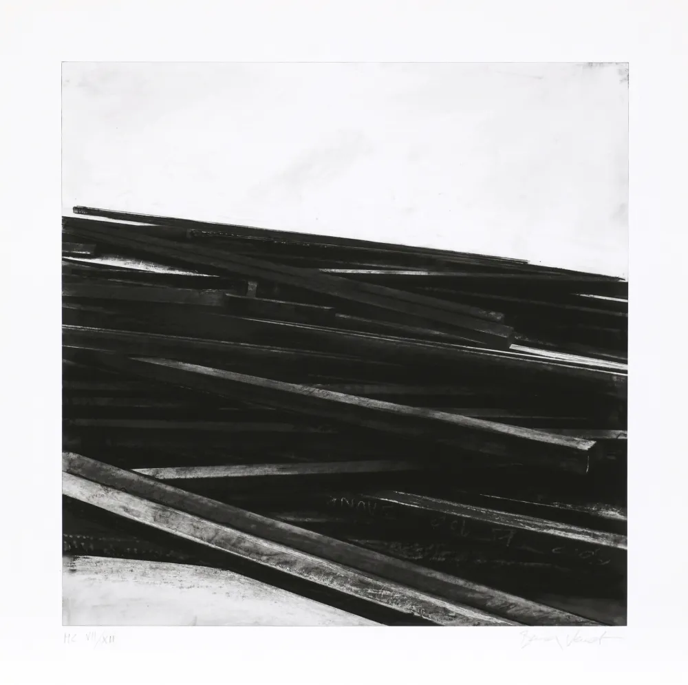 シルクスクリーン Venet - Lignes droites / désordre 04