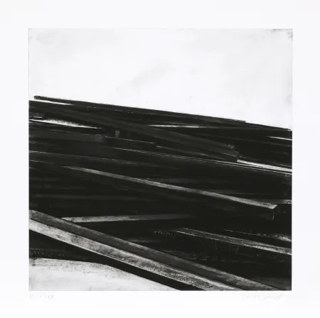 シルクスクリーン Venet - Lignes droites / désordre 04