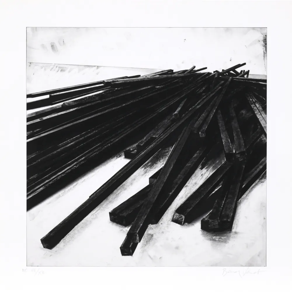 シルクスクリーン Venet - Lignes droites / désordre 05