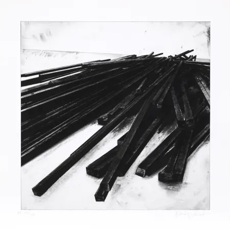 シルクスクリーン Venet - Lignes droites / désordre 05