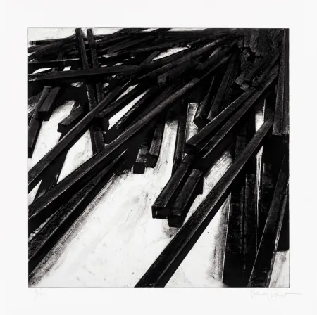 シルクスクリーン Venet - Lignes droites / désordre 06