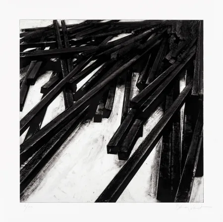 シルクスクリーン Venet - Lignes droites / désordre 06