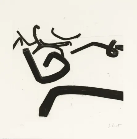 エッチングと　アクチアント Venet - Random Combination of Indeterminate Lines II, c