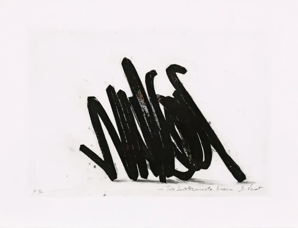 エッチング Venet - Two indeterminate lines 02