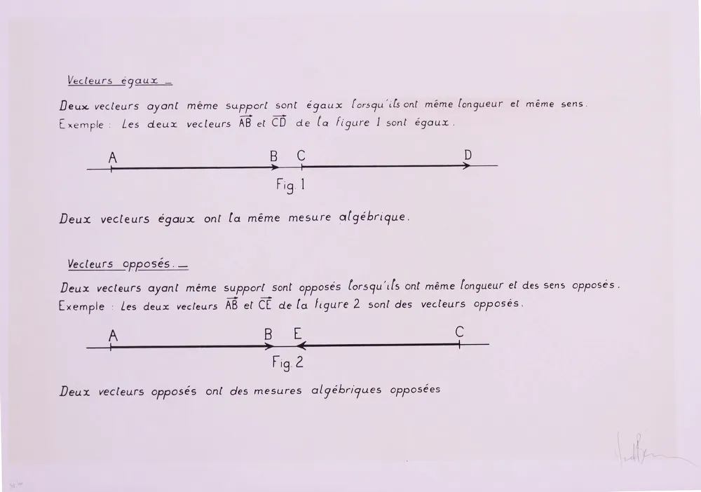 リトグラフ Venet - VECTEURS