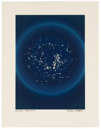 シルクスクリーン Verdier - Odtsetseg