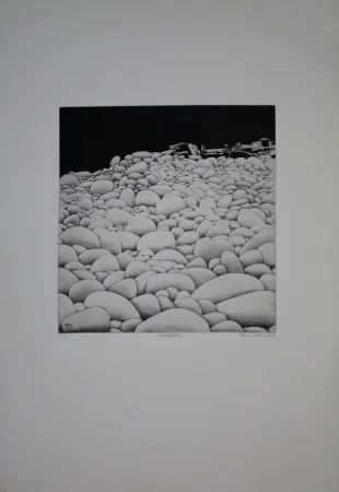 エッチングと　アクチアント Vernunft - Steinblüten