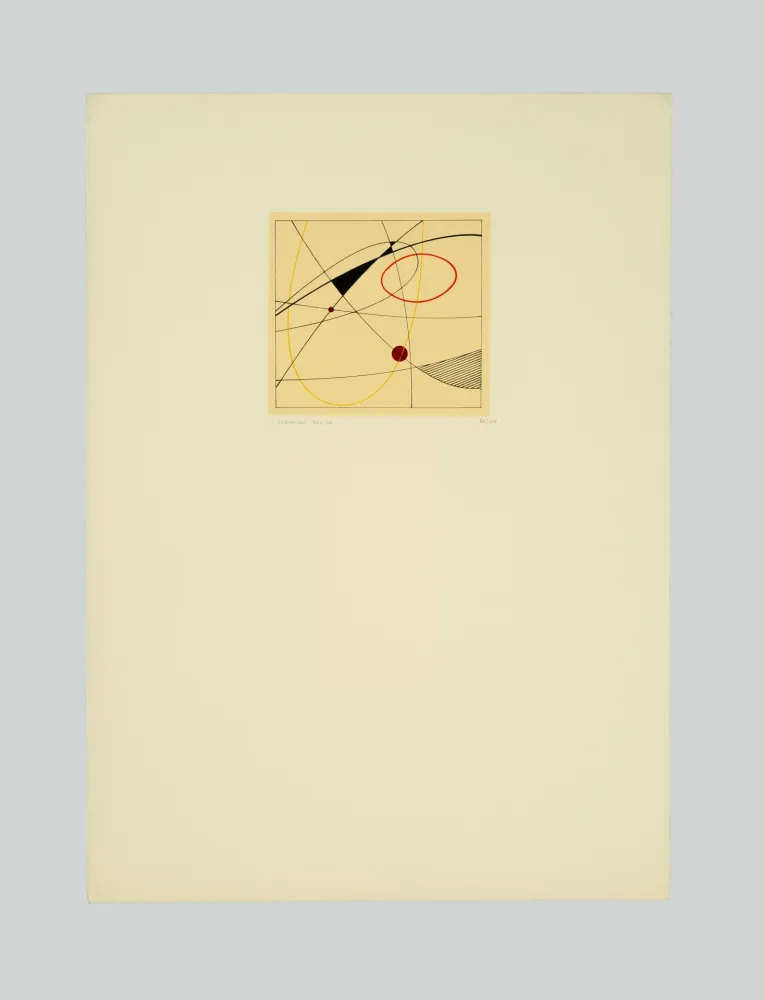 シルクスクリーン Veronesi - Composizione