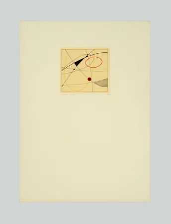 シルクスクリーン Veronesi - Composizione