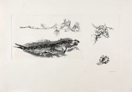 彫版 Vespignani - Studi