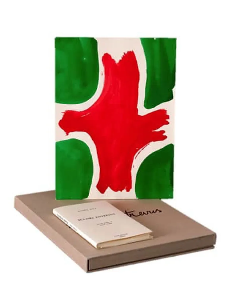 挿絵入り本 Viallat - ECLAIRS ENTREVUS, 1991