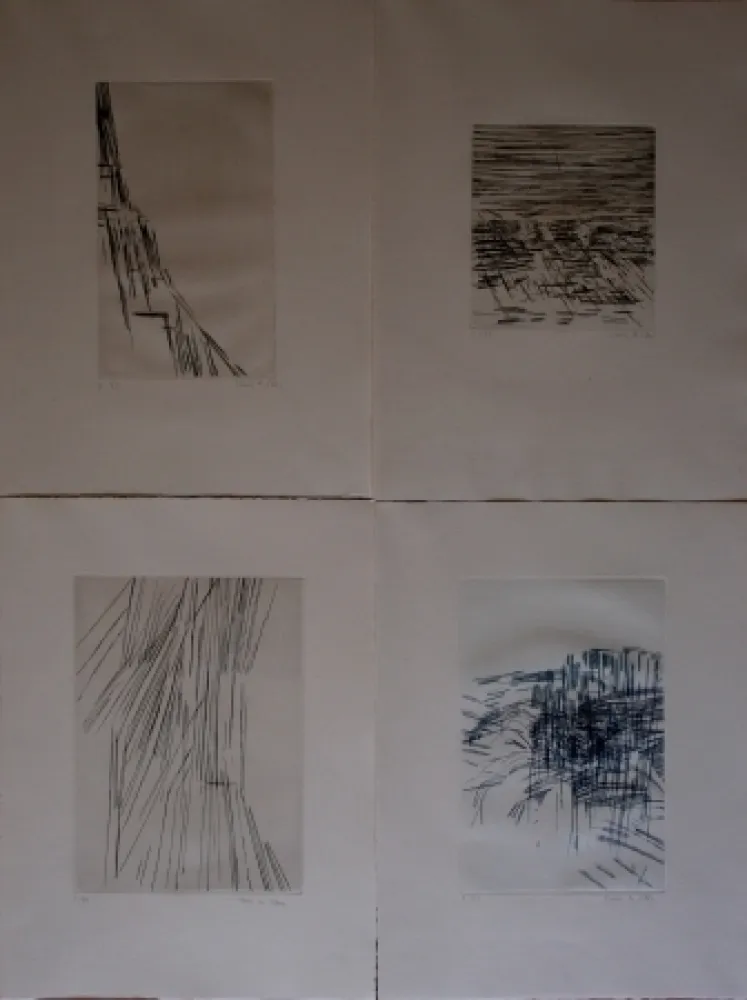 挿絵入り本 Vieira Da Silva - Poésies