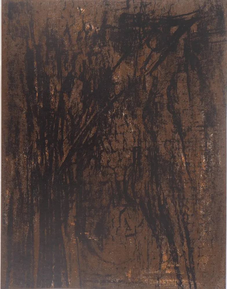 リトグラフ Vieira Da Silva - Terre du Portugal