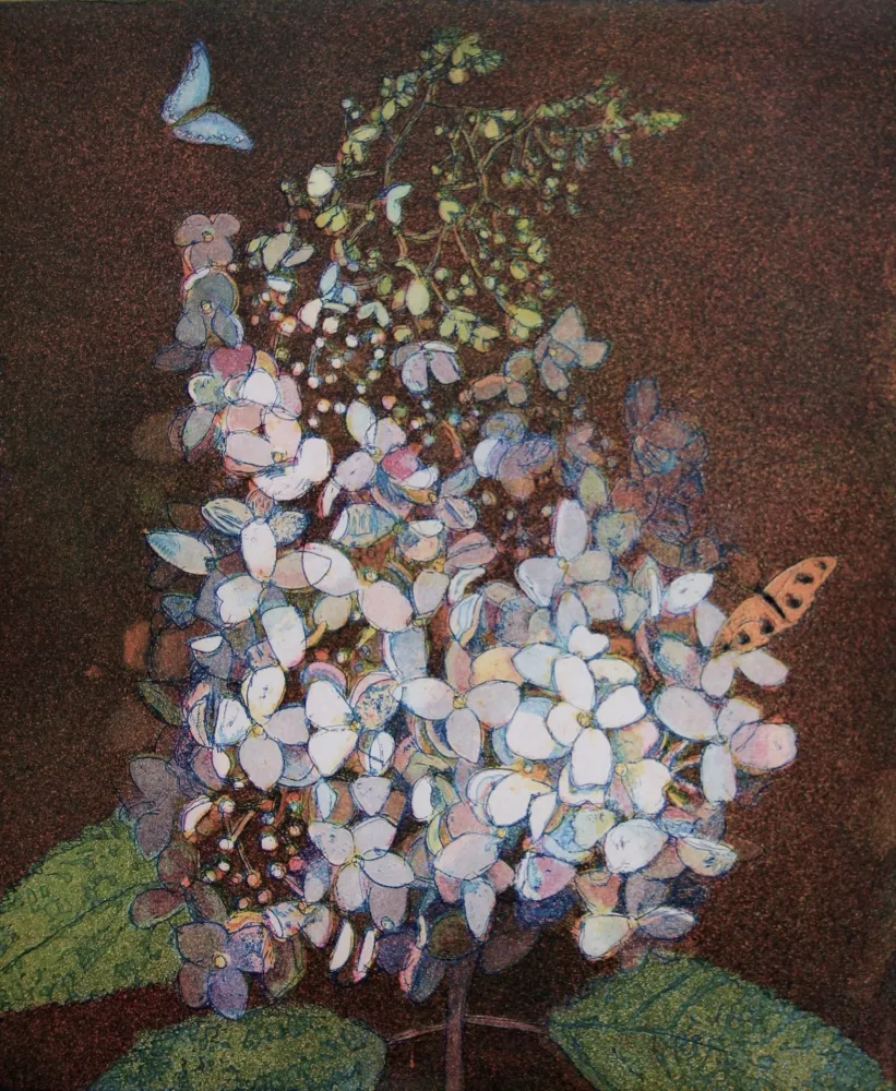 アクチアント Votteler - Kleine weisse Hortensie