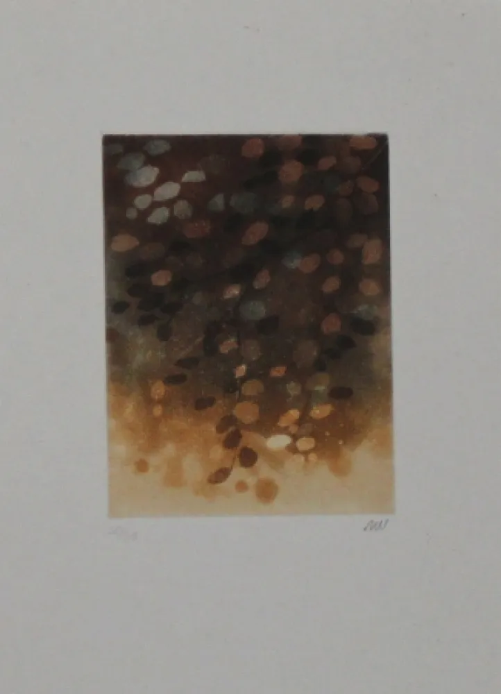 エッチングと　アクチアント Walker - Untitled