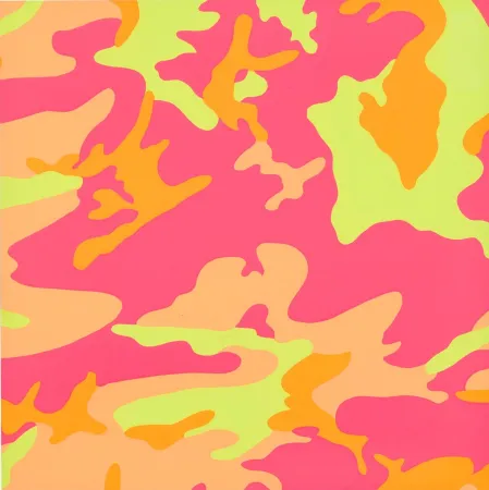 シルクスクリーン Warhol - Camouflage (F. & S. II.409)