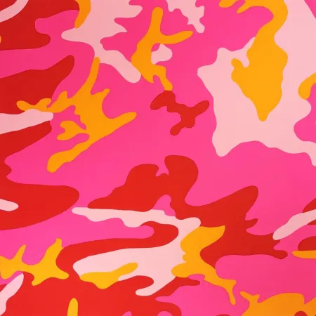 シルクスクリーン Warhol - Camouflage, II.408