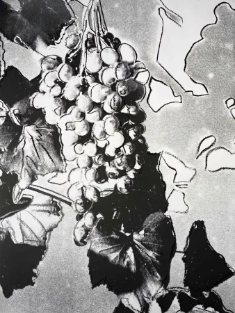 シルクスクリーン Warhol - Grapes