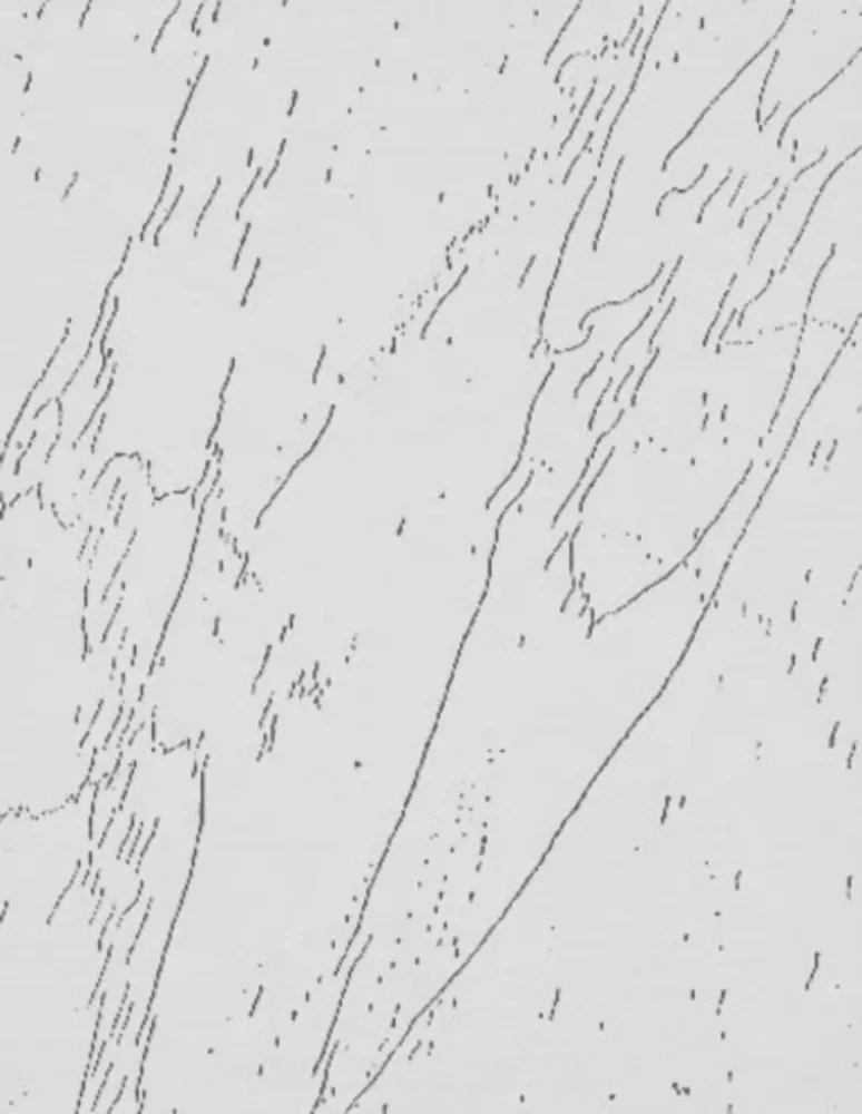 多数の Warhol - Mao (Unique)