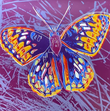 シルクスクリーン Warhol - San Francisco Silverspot (FS II.298)