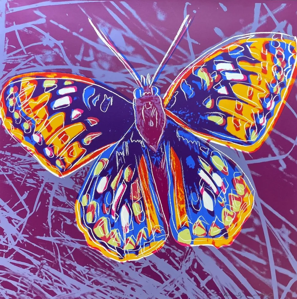 シルクスクリーン Warhol - San Francisco Silverspot (FS II.298)