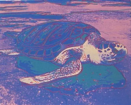 シルクスクリーン Warhol - Sea Turtle