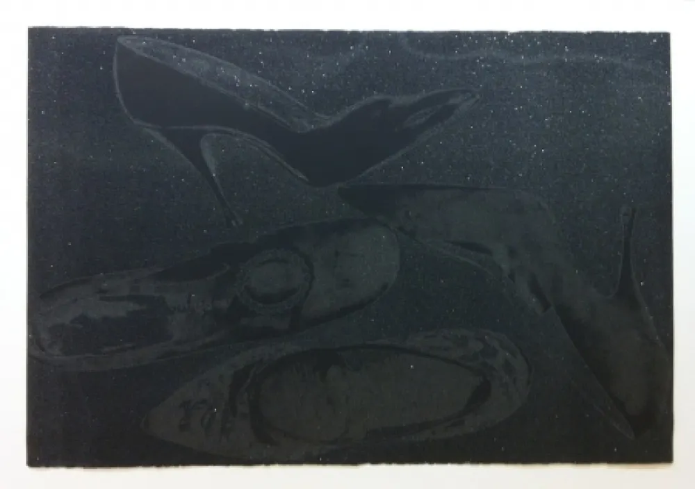 シルクスクリーン Warhol - Shoes II.248 (Deluxe Edition)