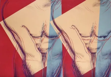 シルクスクリーン Warhol - Torso (Double)