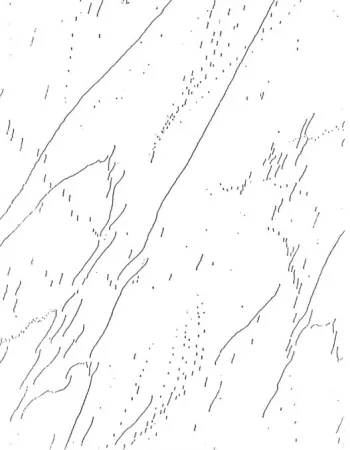 多数の Warhol - Untitled (Mao), from The New York Collection for Stockholm