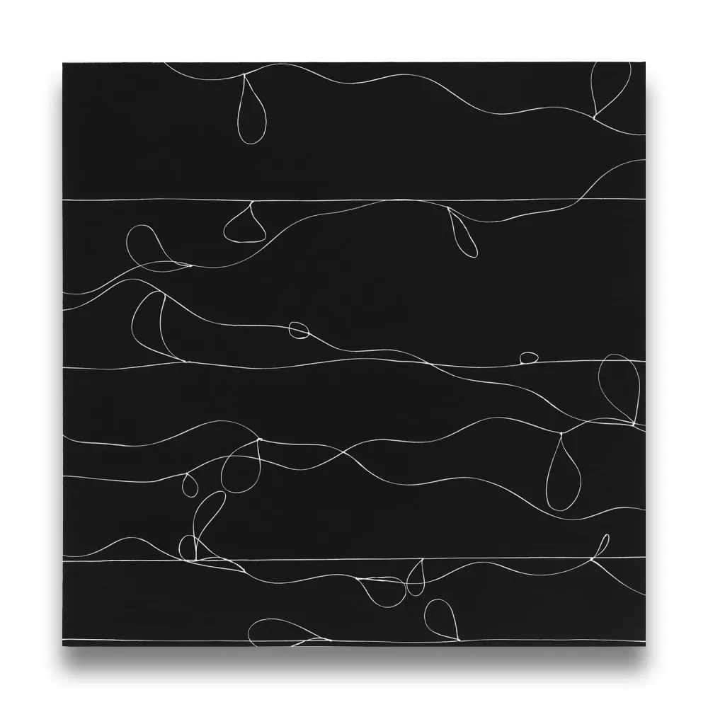 写真 Webber - Loops 1