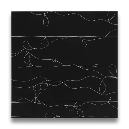 写真 Webber - Loops 1