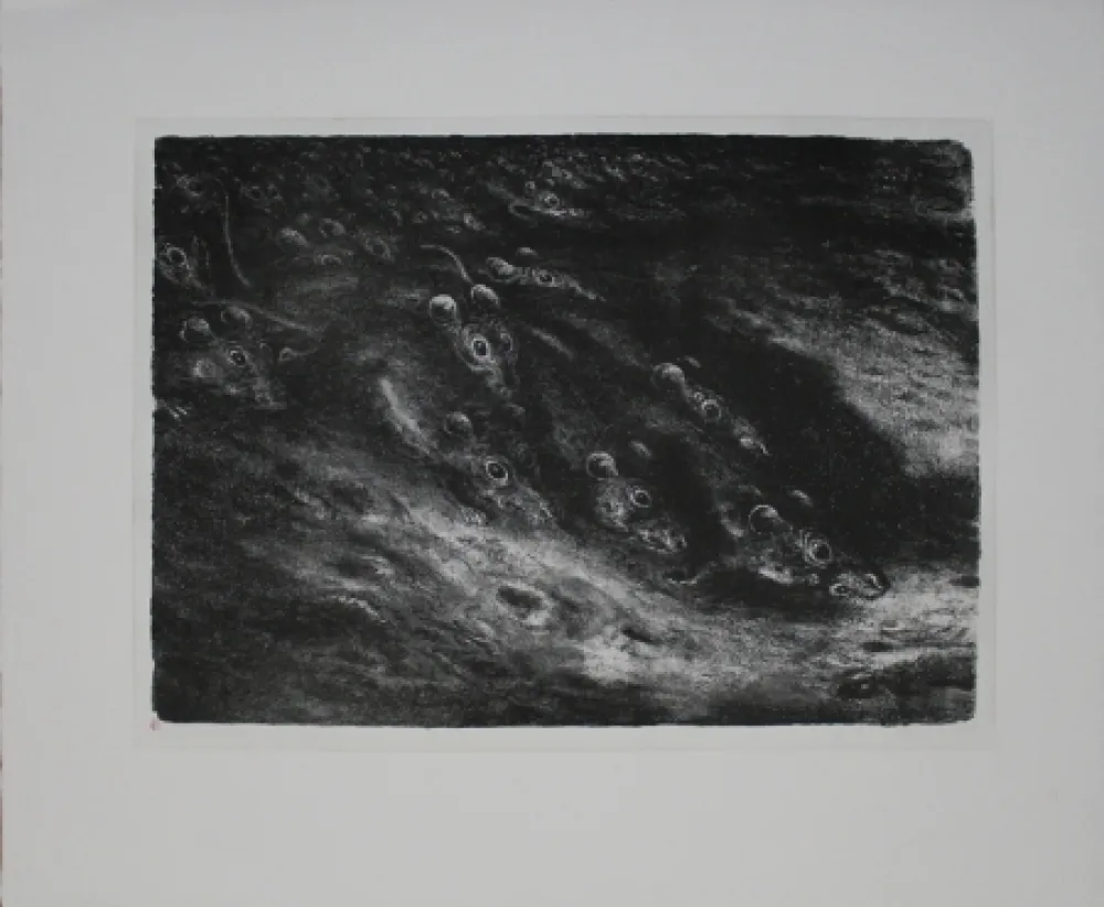 リトグラフ Weber - Rattenzug