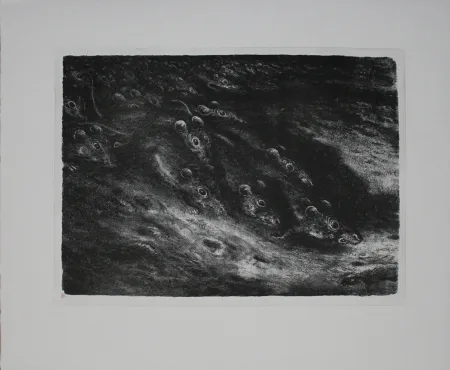 リトグラフ Weber - Rattenzug