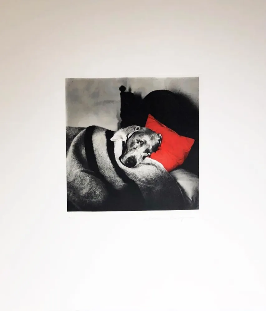 彫版 Wegman - Cinderella Sleeping