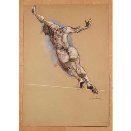 技術的なありません Weisbuch - Le saut de l’ange