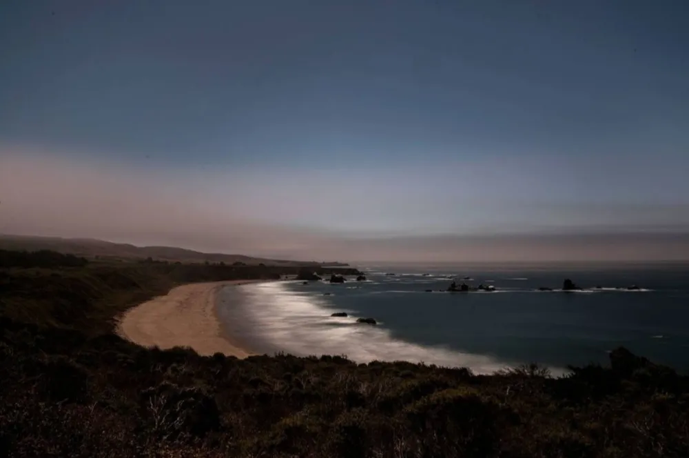 写真 Wesely - Arroyo Hondo Preserve