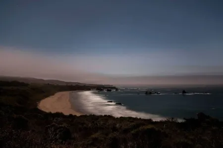 写真 Wesely - Arroyo Hondo Preserve
