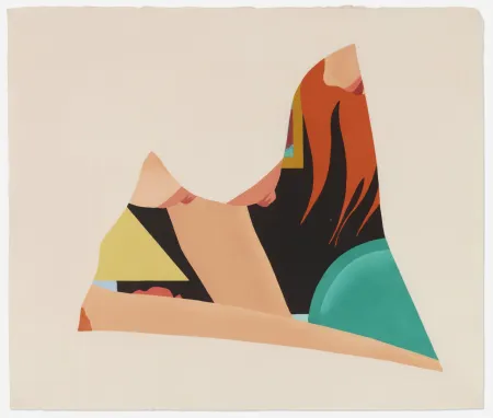 木版 Wesselmann - Bedroom Dropout