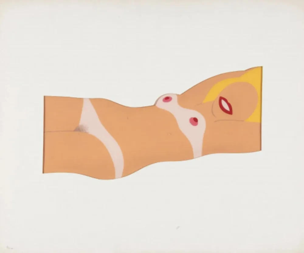 多数の Wesselmann - Cut out nude