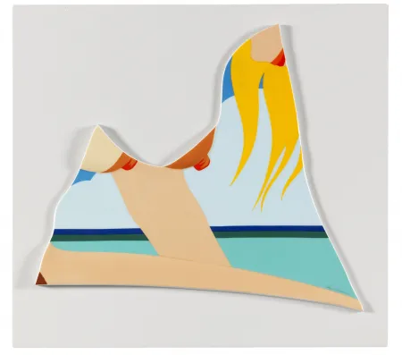 多数の Wesselmann - Seascape