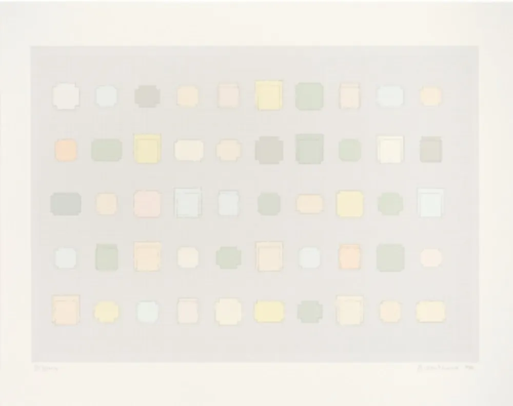 シルクスクリーン Whiteread - 50 Spaces