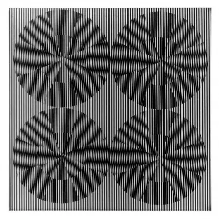 多数の Wilding - SBT 2835