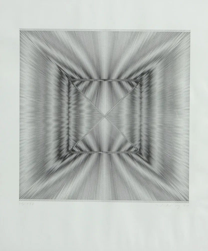 リトグラフ Wilding - SENZA TITOLO